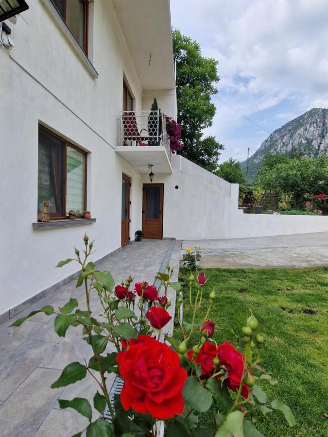 Hotel Renate House Băile Herculane Exterior foto